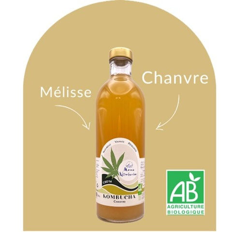 Kombucha bio