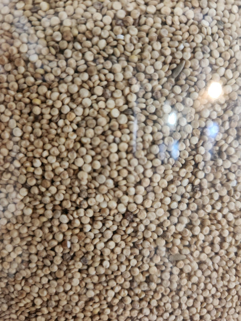 Quinoa blanc bio (250g)