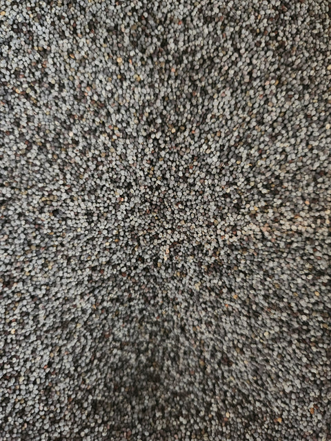 Graines de chia bio (100g)