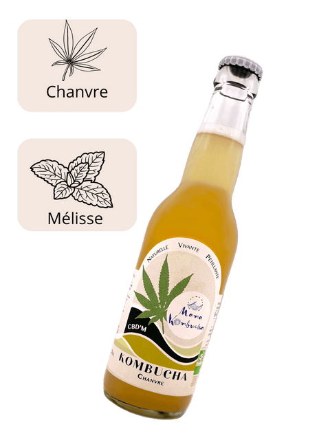 Kombucha bio