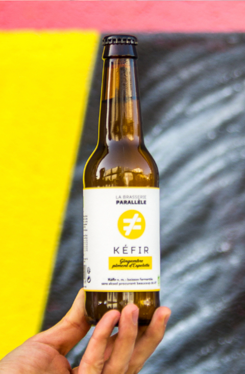 Kéfir bio