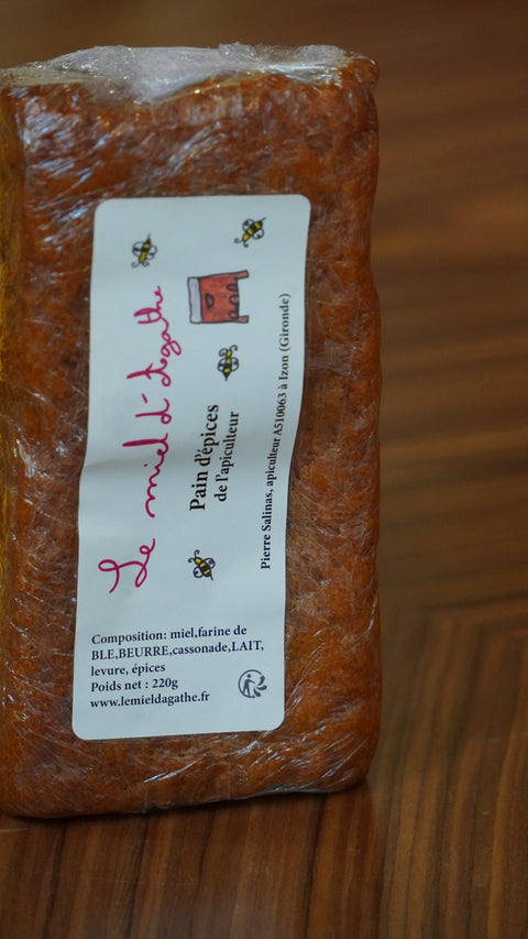 PAIN D EPICES 220G