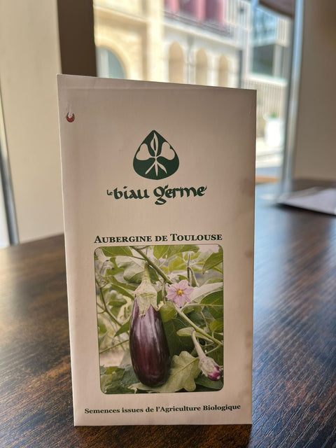 Semence aubergine