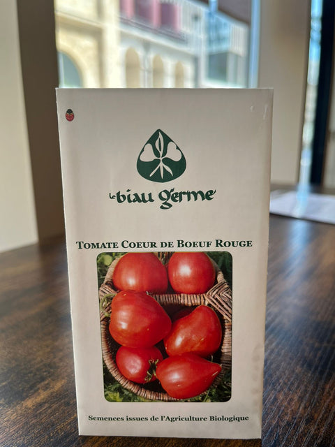 Tomate coeur de boeuf rouge