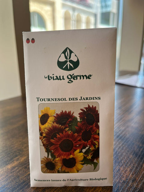 Tournesol des jardins