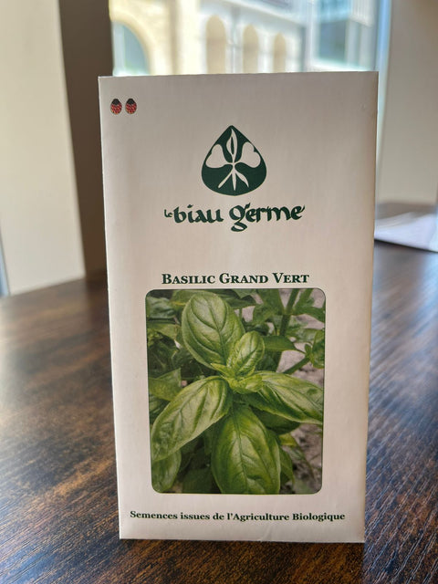 Basilic Grand vert 50G