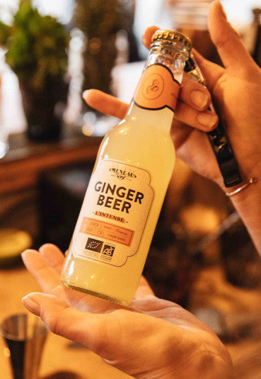 Ginger beer bio