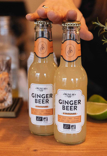 Ginger beer bio