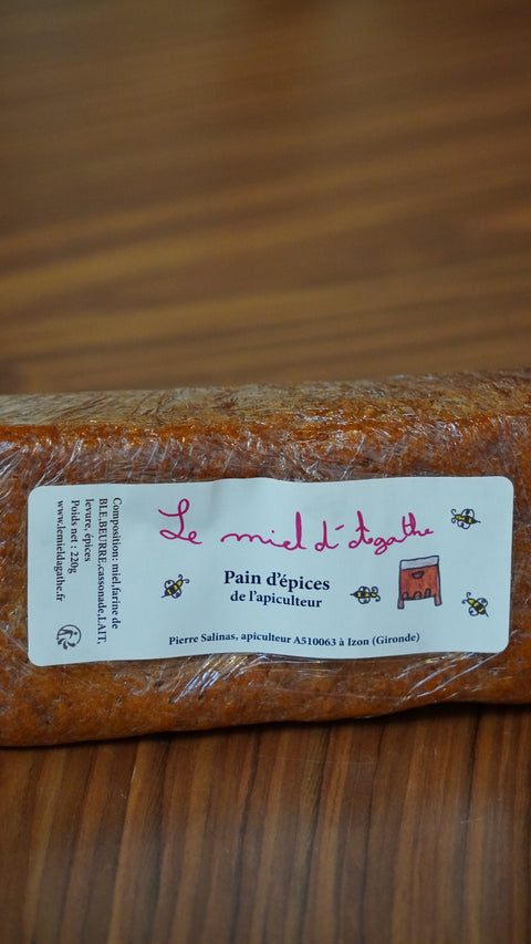 PAIN D EPICES 220G